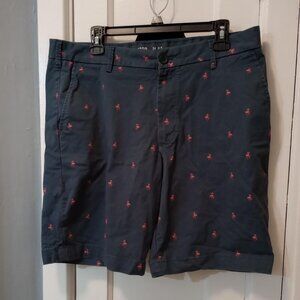 Izod chino salt water stretch shorts with pink flamingos SIZE 34